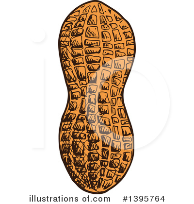 Royalty-Free (RF) Peanut Clipart Illustration by Vector Tradition SM - Stock Sample #1395764
