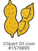 Peanut Clipart #1579893 by lineartestpilot