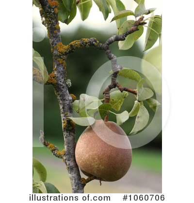 Royalty-Free (RF) Pear Clipart Illustration by Kenny G Adams - Stock Sample #1060706