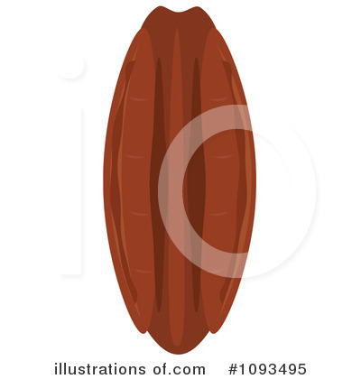 Pecan Clipart #1093495 by Randomway