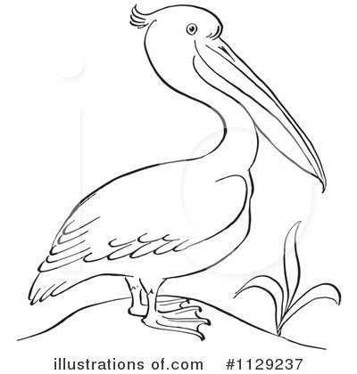 Royalty-Free (RF) Pelican Clipart Illustration by Picsburg - Stock Sample #1129237