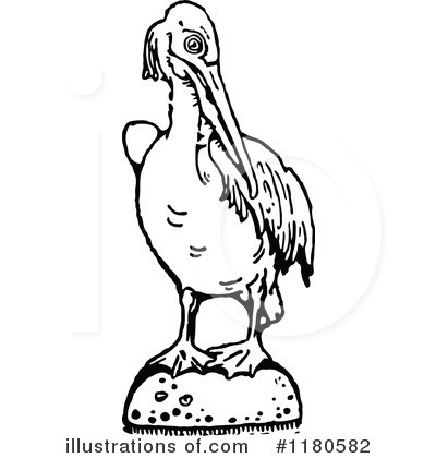 Royalty-Free (RF) Pelican Clipart Illustration by Prawny Vintage - Stock Sample #1180582