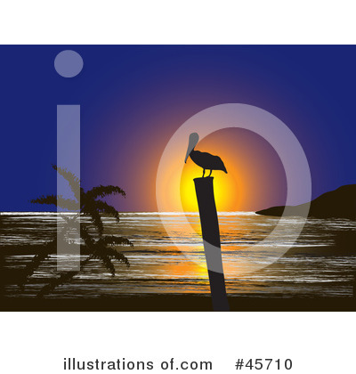 Royalty-Free (RF) Pelican Clipart Illustration by pauloribau - Stock Sample #45710