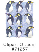 Penguins Clipart #71257 by Steve Klinkel