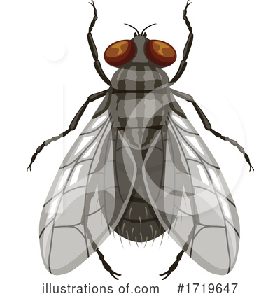 House Fly Clipart #1719647 by Vector Tradition SM
