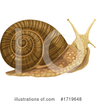 Snail Clipart #1719648 by Vector Tradition SM