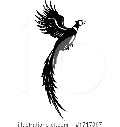 Royalty-Free (RF) Pheasant Clipart Illustration by patrimonio - Stock Sample #1717397