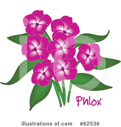 Royalty-Free (RF) Phlox Clipart Illustration by Pams Clipart - Stock Sample #62536