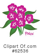 Phlox Clipart #62536 by Pams Clipart