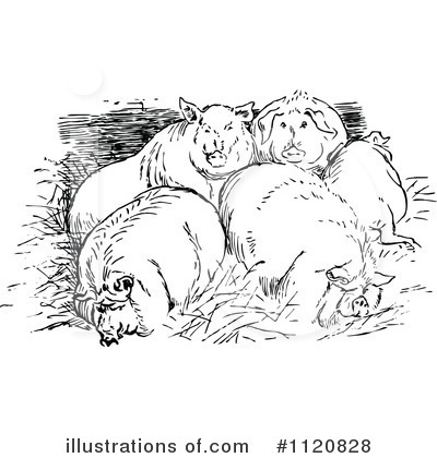 Royalty-Free (RF) Pig Clipart Illustration by Prawny Vintage - Stock Sample #1120828