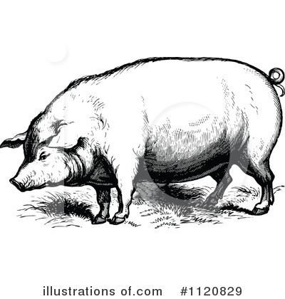 Royalty-Free (RF) Pig Clipart Illustration by Prawny Vintage - Stock Sample #1120829