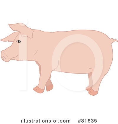 Royalty-Free (RF) Pig Clipart Illustration by PlatyPlus Art - Stock Sample #31635