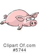 Pig Clipart #5744 by djart