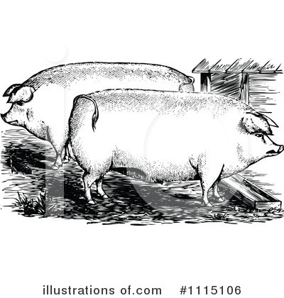 Royalty-Free (RF) Pigs Clipart Illustration by Prawny Vintage - Stock Sample #1115106