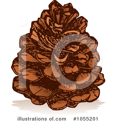 Royalty-Free (RF) Pine Cone Clipart Illustration by Any Vector - Stock Sample #1055201