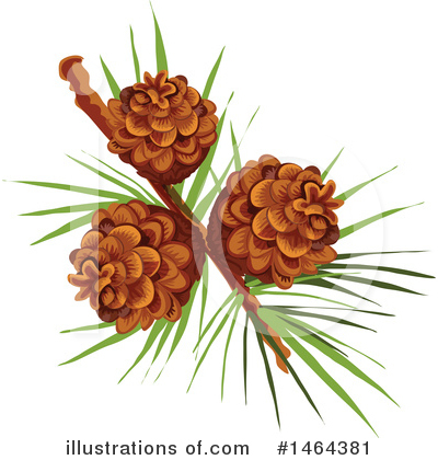 Pinecone Clipart #1464381 by Vector Tradition SM