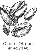Pistachio Clipart #1457146 by Vector Tradition SM