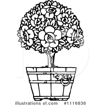 Potted Plant Clipart #1116836 by Prawny Vintage