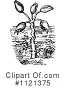 Plant Clipart #1121375 by Prawny Vintage