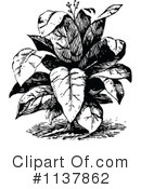 Plant Clipart #1137862 by Prawny Vintage