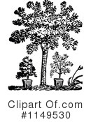 Plant Clipart #1149530 by Prawny Vintage