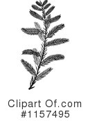 Plant Clipart #1157495 by Prawny Vintage