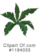 Plant Clipart #1184033 by dero