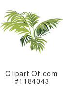 Plant Clipart #1184043 by dero