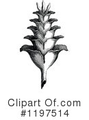 Plant Clipart #1197514 by Prawny Vintage