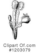 Plant Clipart #1203079 by Prawny Vintage