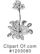 Plant Clipart #1203080 by Prawny Vintage