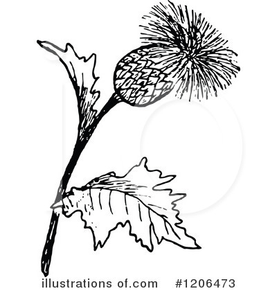 Thistle Clipart #1206473 by Prawny Vintage