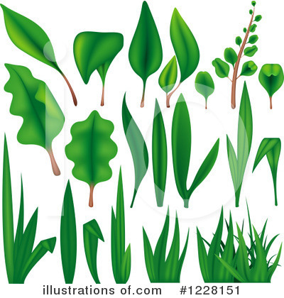 Royalty-Free (RF) Plant Clipart Illustration by dero - Stock Sample #1228151