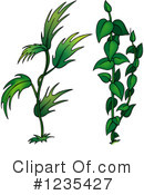 Plant Clipart #1235427 by dero