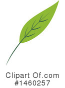 Plant Clipart #1460257 by Cherie Reve