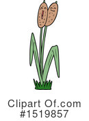 Plant Clipart #1519857 by lineartestpilot