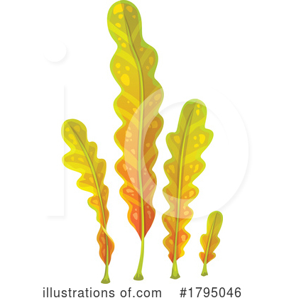Seaweed Clipart #1795046 by Vector Tradition SM