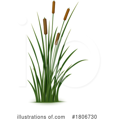 Cattails Clipart #1806730 by Vector Tradition SM