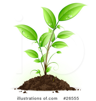 Seedling Clipart #26555 by beboy