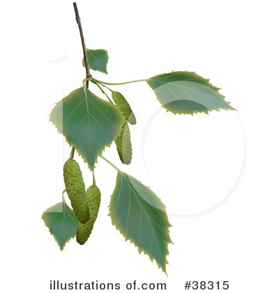 Royalty-Free (RF) Plant Clipart Illustration by dero - Stock Sample #38315