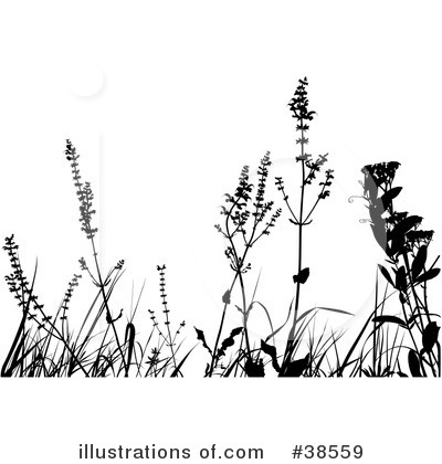Royalty-Free (RF) Plant Clipart Illustration by dero - Stock Sample #38559