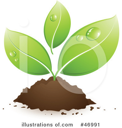 Organic Clipart #46991 by beboy