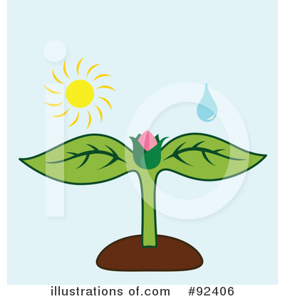 Plant Clipart #92406 by Cherie Reve