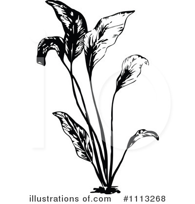 Royalty-Free (RF) Plants Clipart Illustration by Prawny Vintage - Stock Sample #1113268