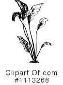 Plants Clipart #1113268 by Prawny Vintage
