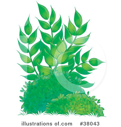 Royalty-Free (RF) Plants Clipart Illustration by Alex Bannykh - Stock Sample #38043