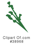 Plants Clipart #38968 by Tonis Pan