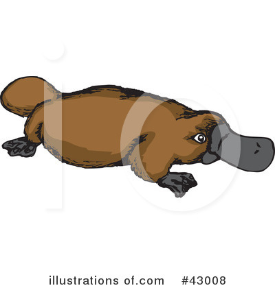 Royalty-Free (RF) Platypus Clipart Illustration by Dennis Holmes Designs - Stock Sample #43008