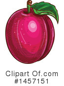 Plum Clipart #1457151 by Vector Tradition SM