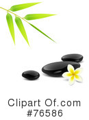 Plumeria Clipart #76586 by Oligo